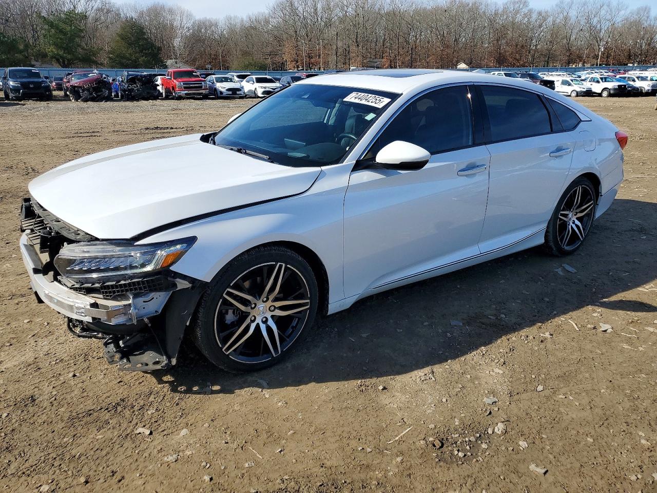 Salvage Honda Accord Image