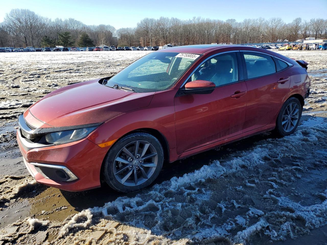 Salvage Honda Civic Image