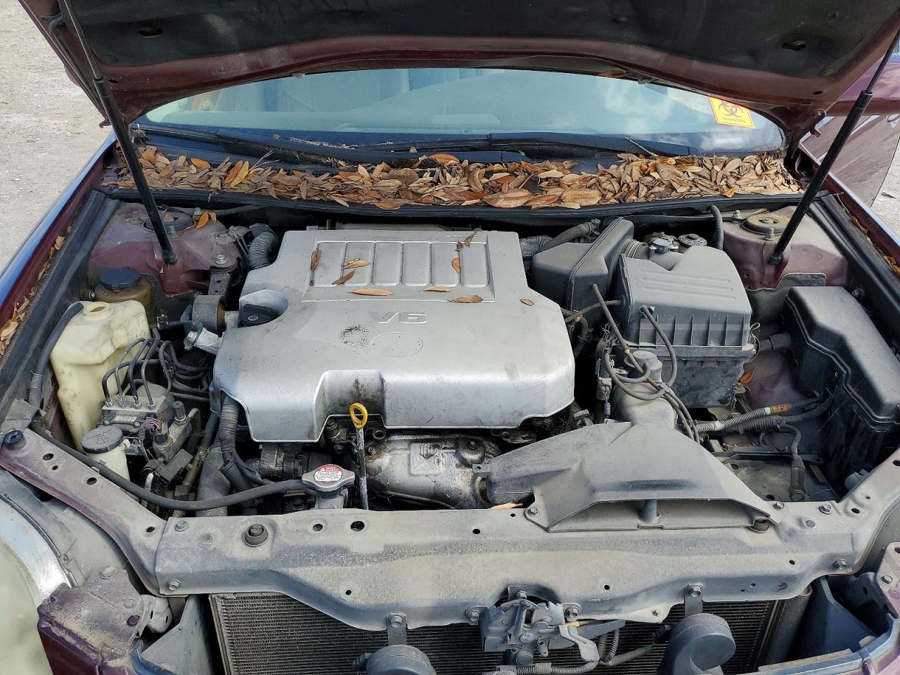 Toyota Avalon Xls