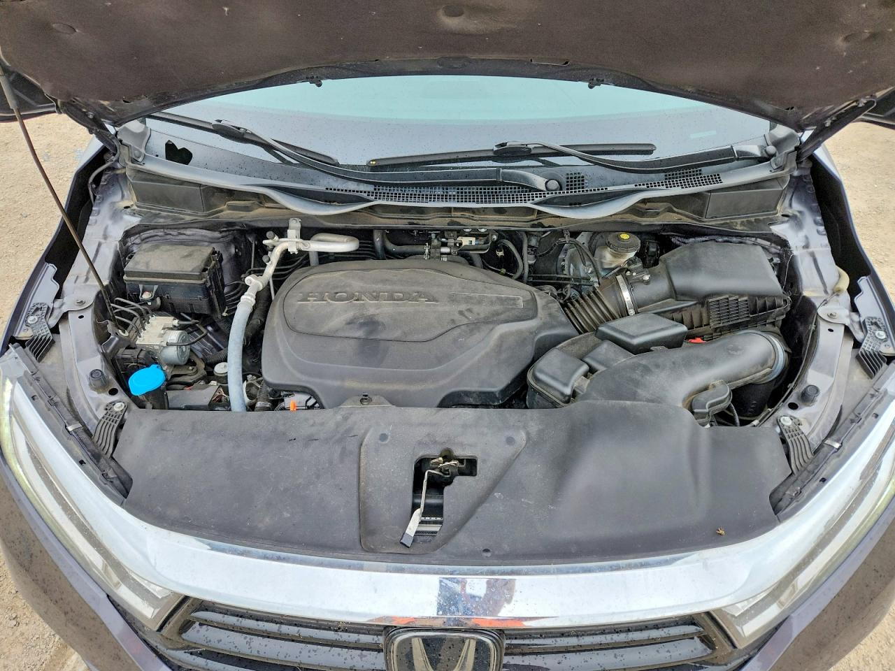 Honda Odyssey Exl