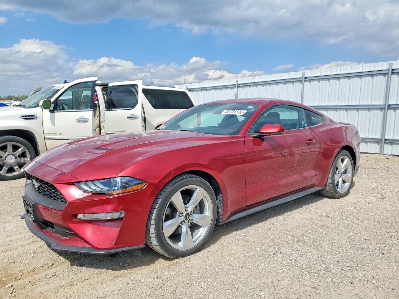 Salvage Ford Mustang Image