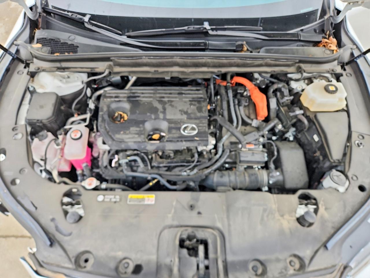 Lexus RX Premium