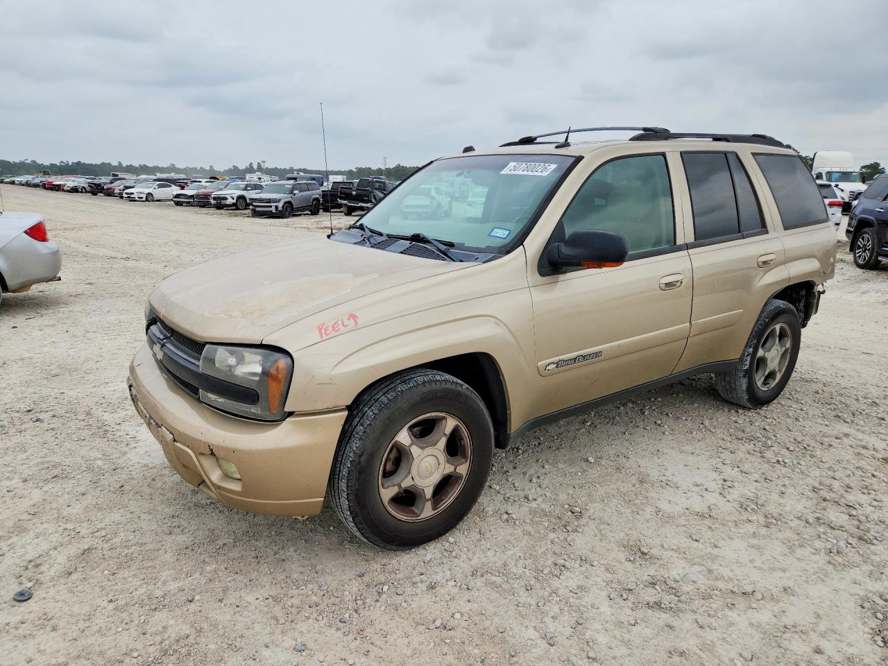 Salvage Chevrolet Trailblaze Image