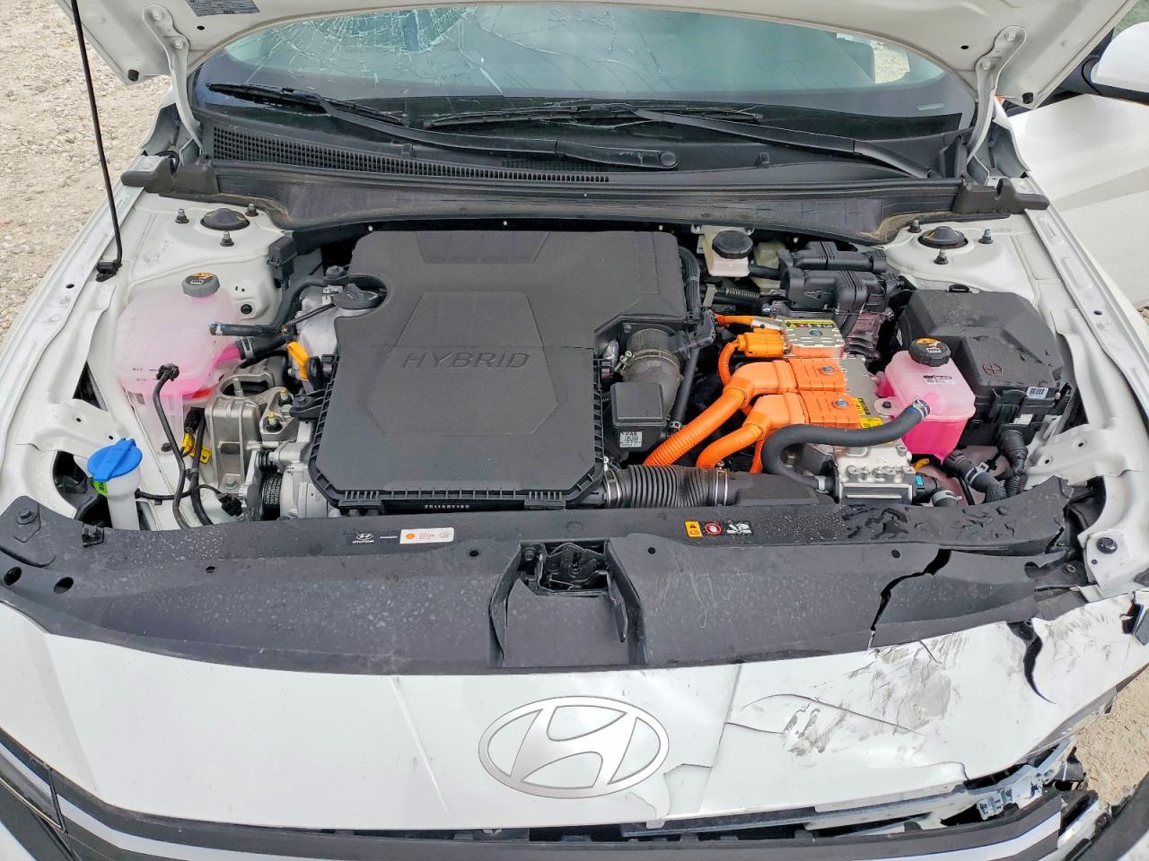 Hyundai ELANTRA Blue