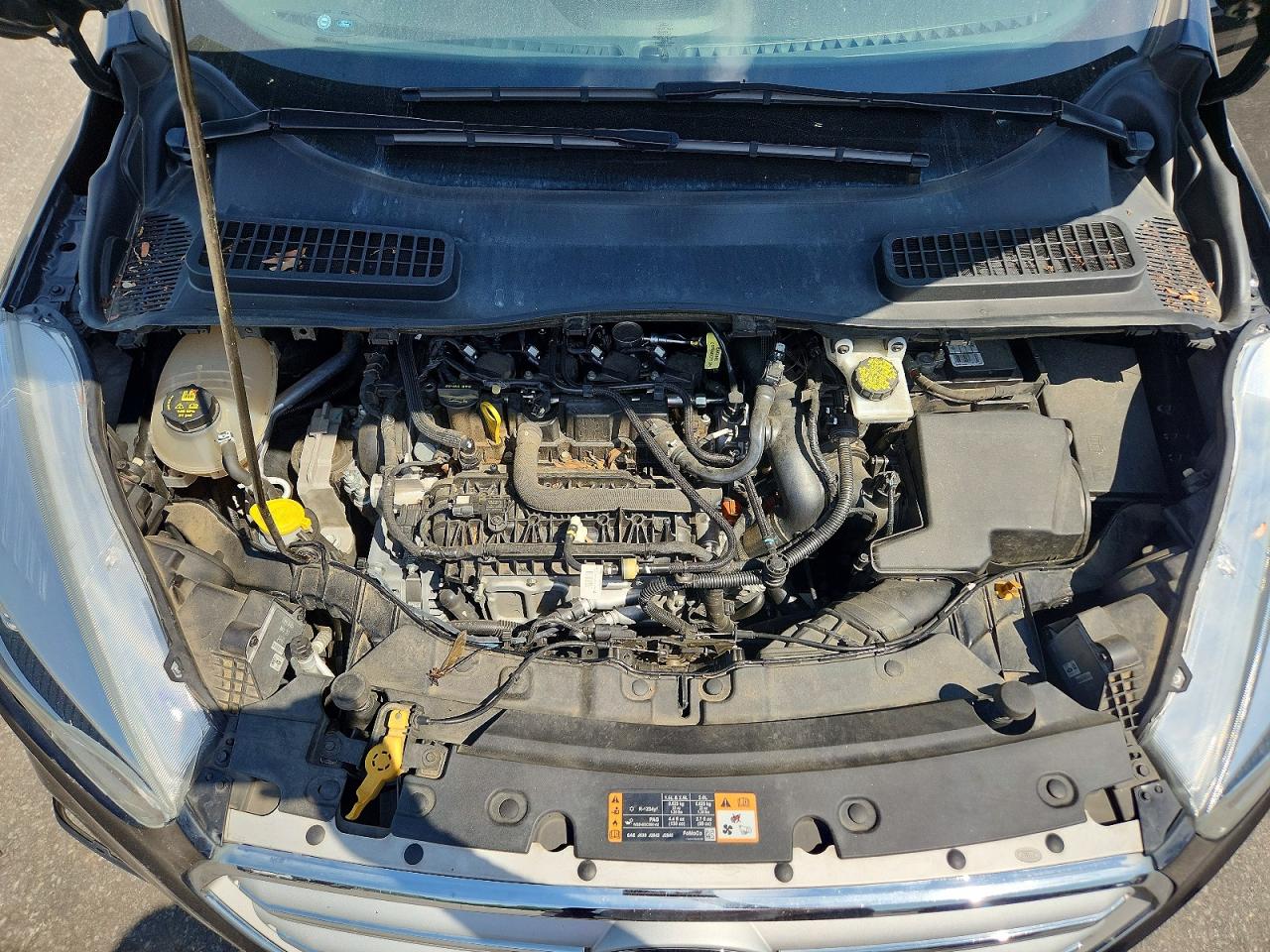Ford Escape Sel