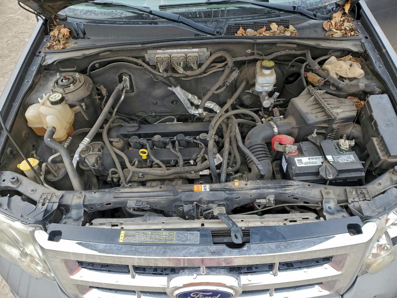 Ford Escape