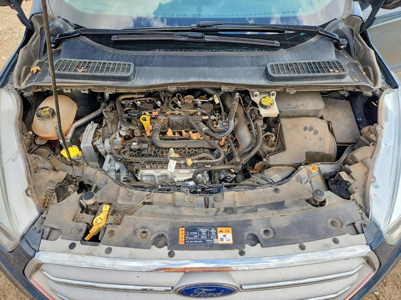 Ford Escape Se