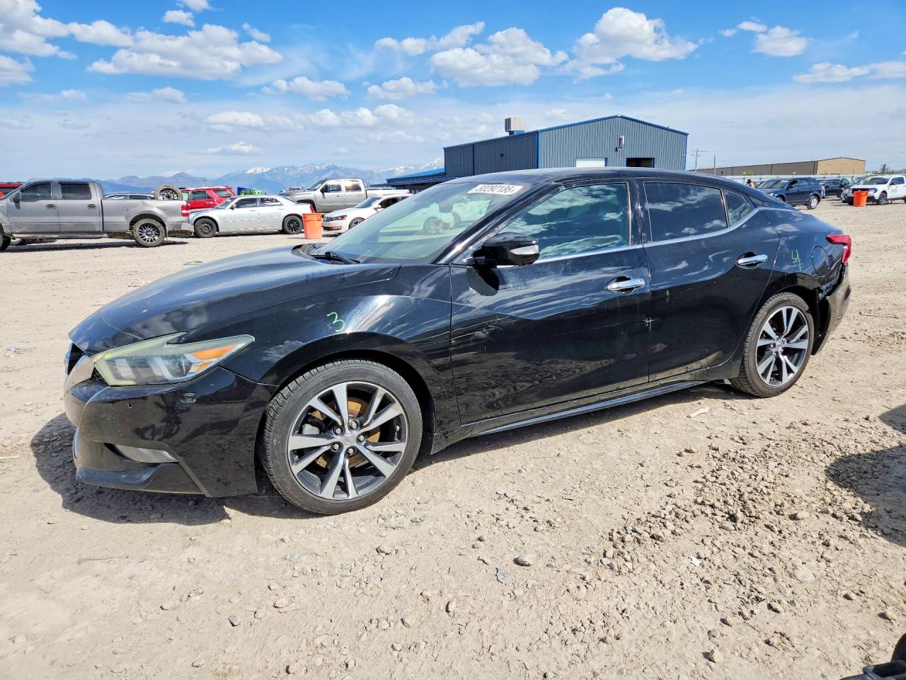 Salvage Nissan Maxima Image