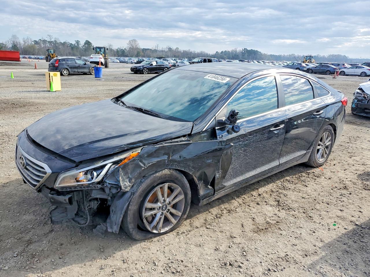 Salvage Hyundai SONATA Image