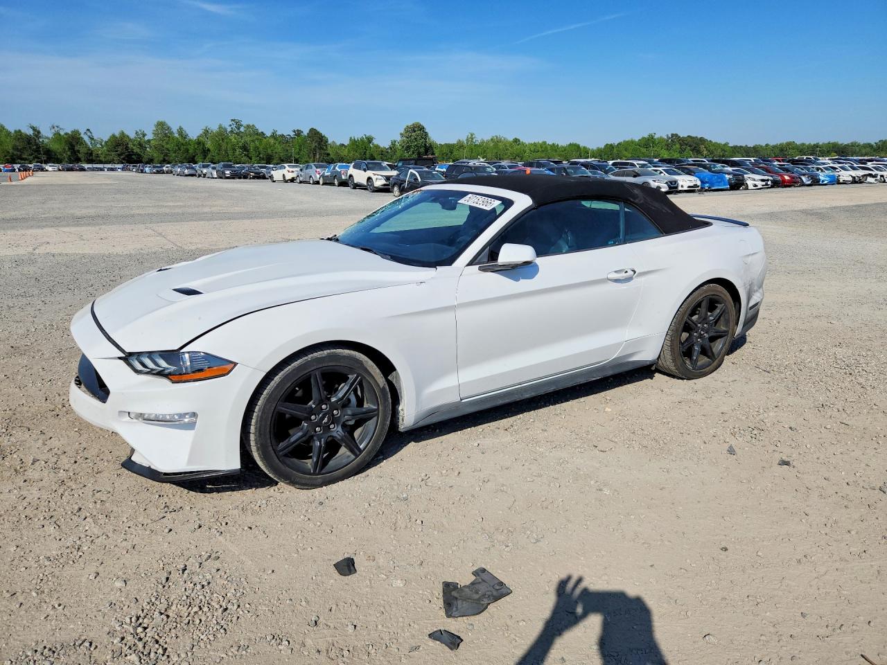 Salvage Ford Mustang Image