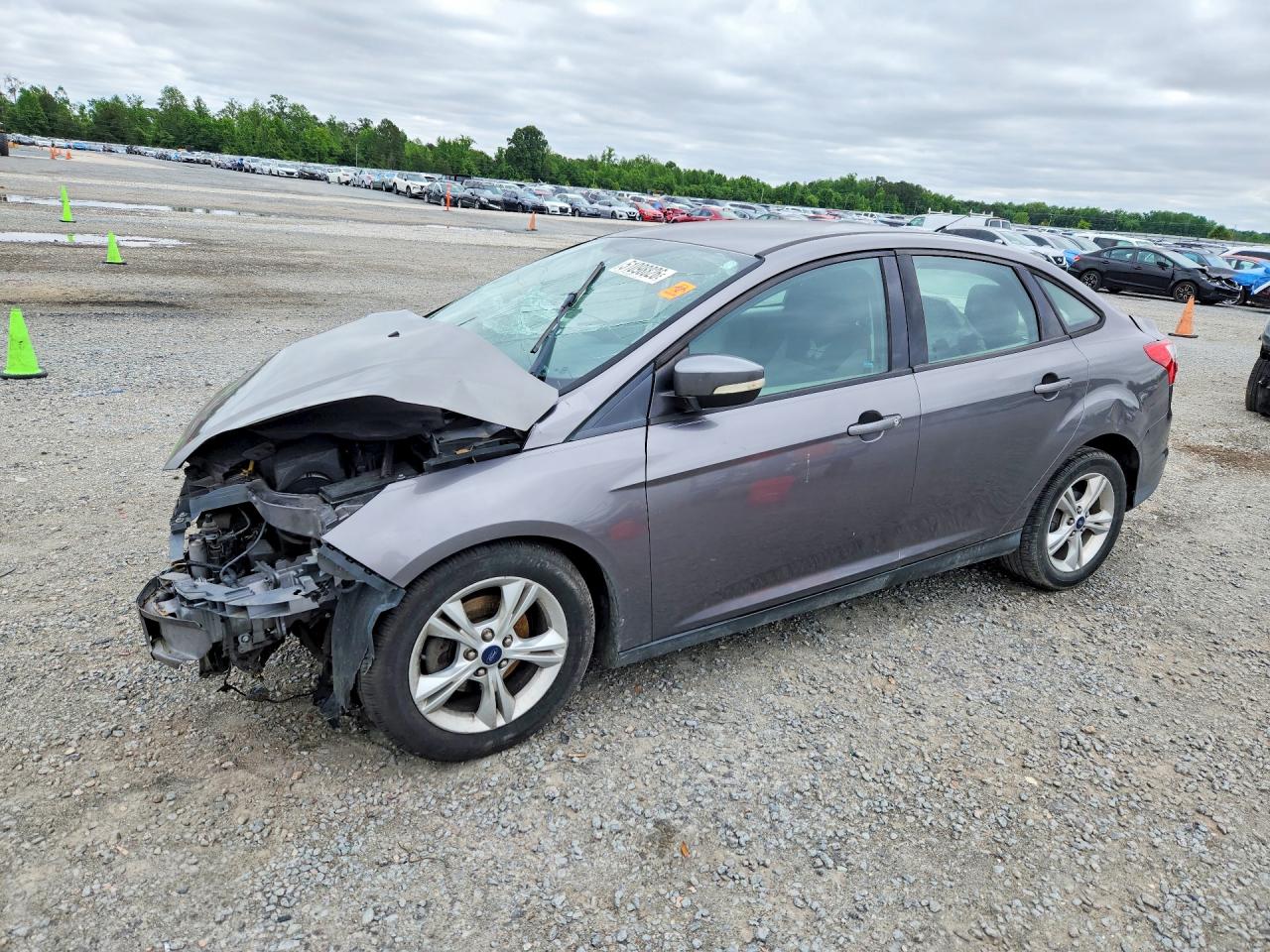 Salvage Ford Focus Image