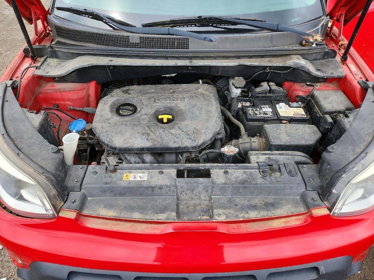 Kia Soul +
