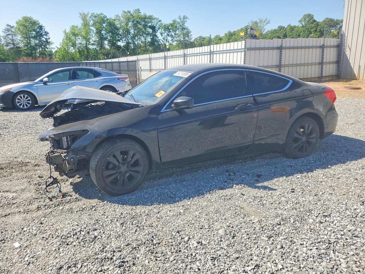 Salvage Honda Accord Image
