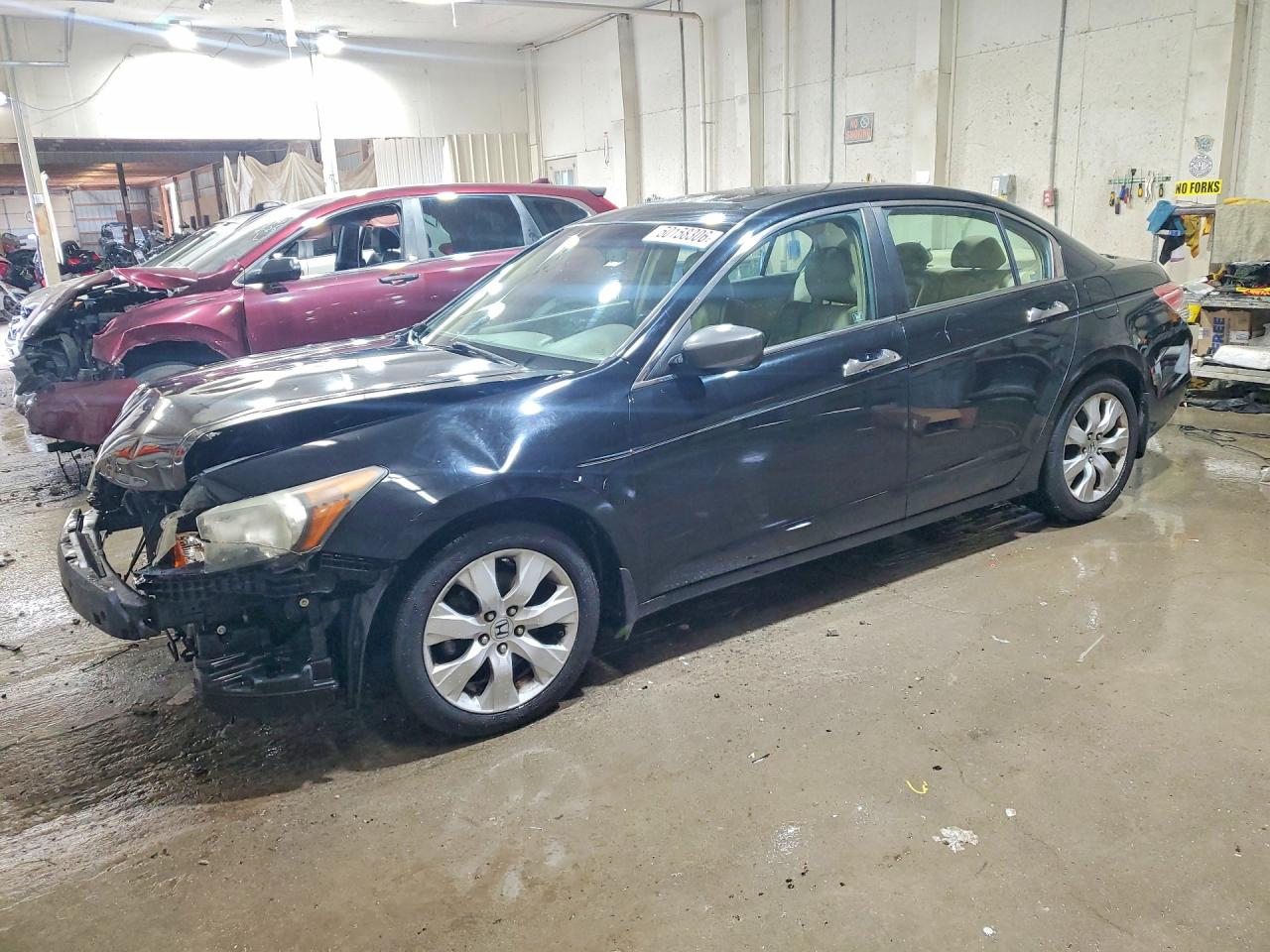 Salvage Honda Accord Image