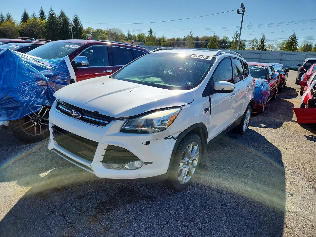 Salvage Ford Escape Image