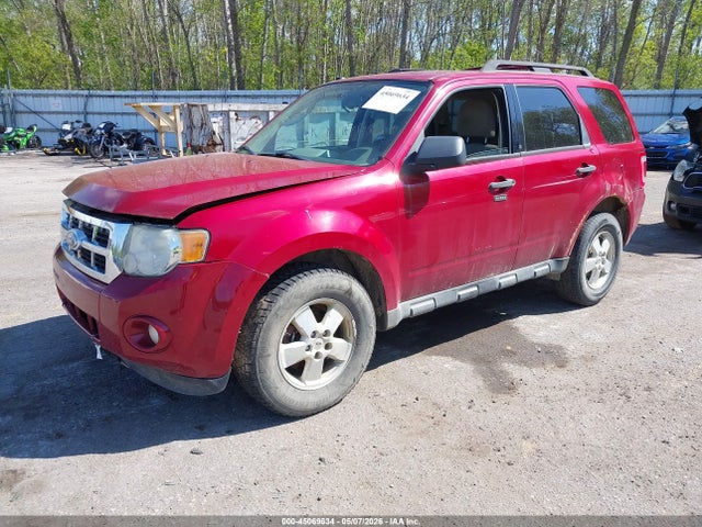 Ford Escape Xlt