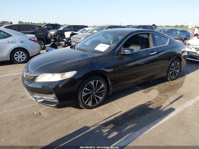 Honda Accord Ex-l