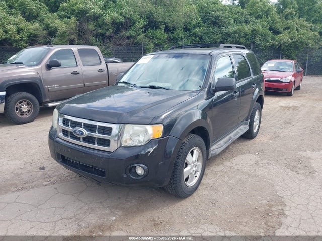 Ford Escape Xlt
