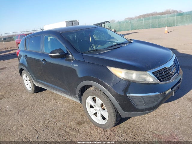 Salvage Kia Sportage Image
