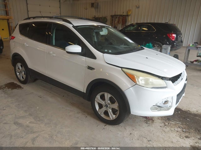 Salvage Ford Escape Image