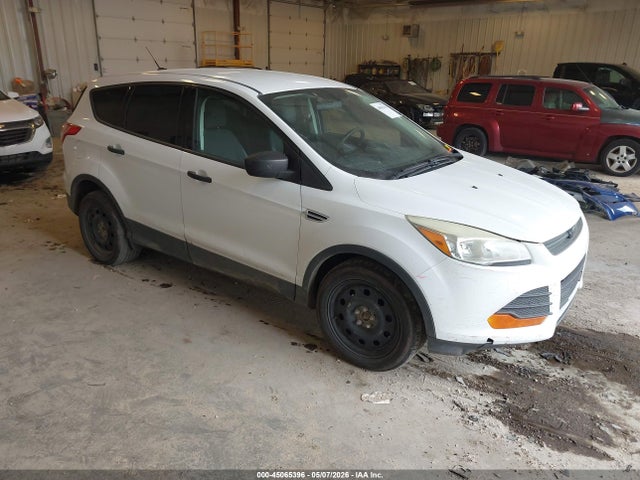 Salvage Ford Escape Image