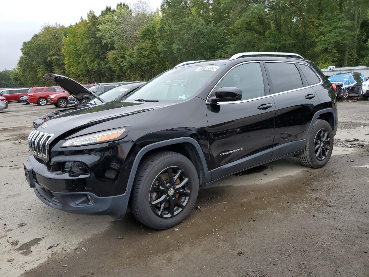Salvage Jeep Grand Cherokee Image