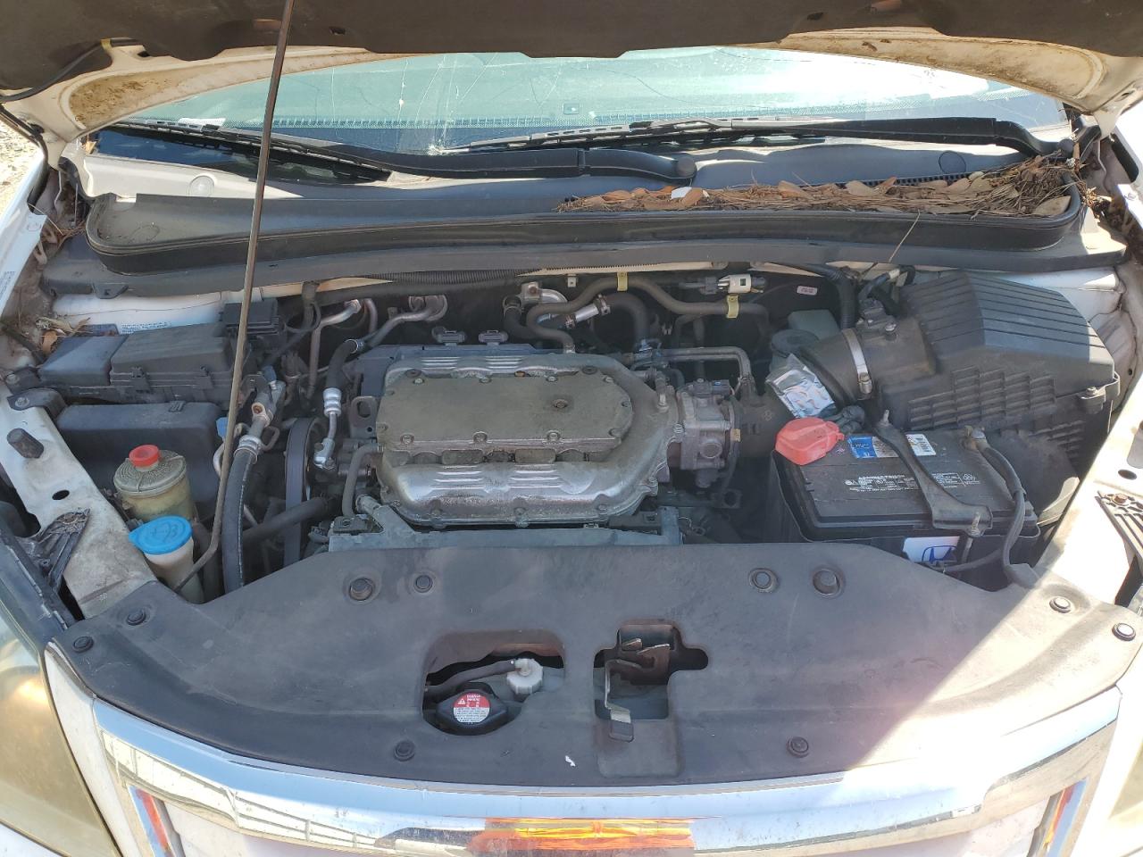 Honda Odyssey Exl