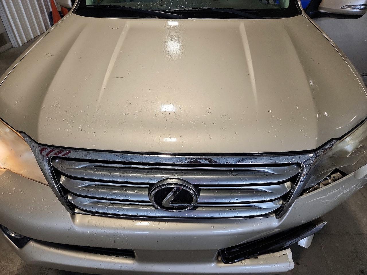 Lexus Gx 460
