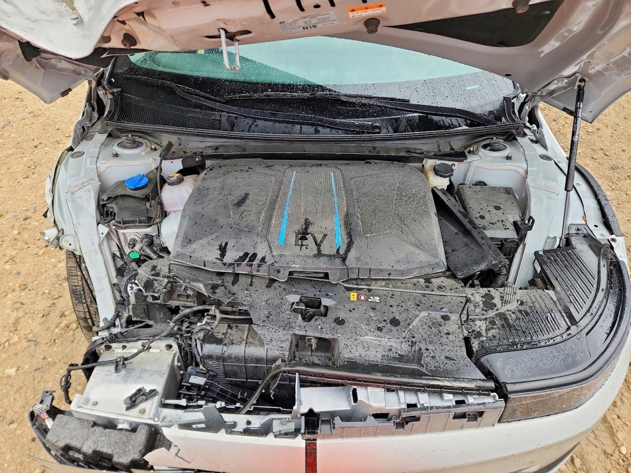Hyundai Ioniq Sel