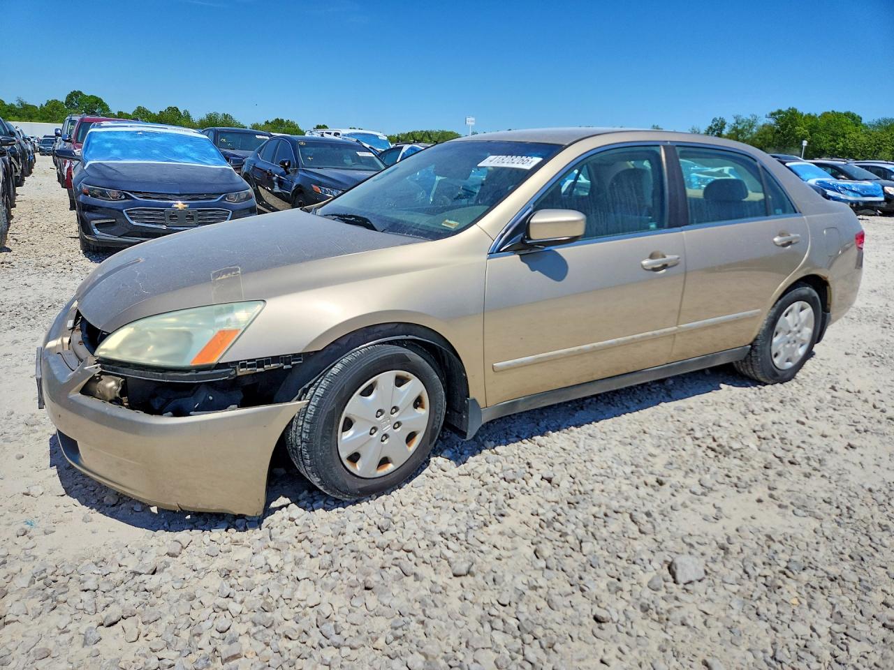 Salvage Honda Accord Image