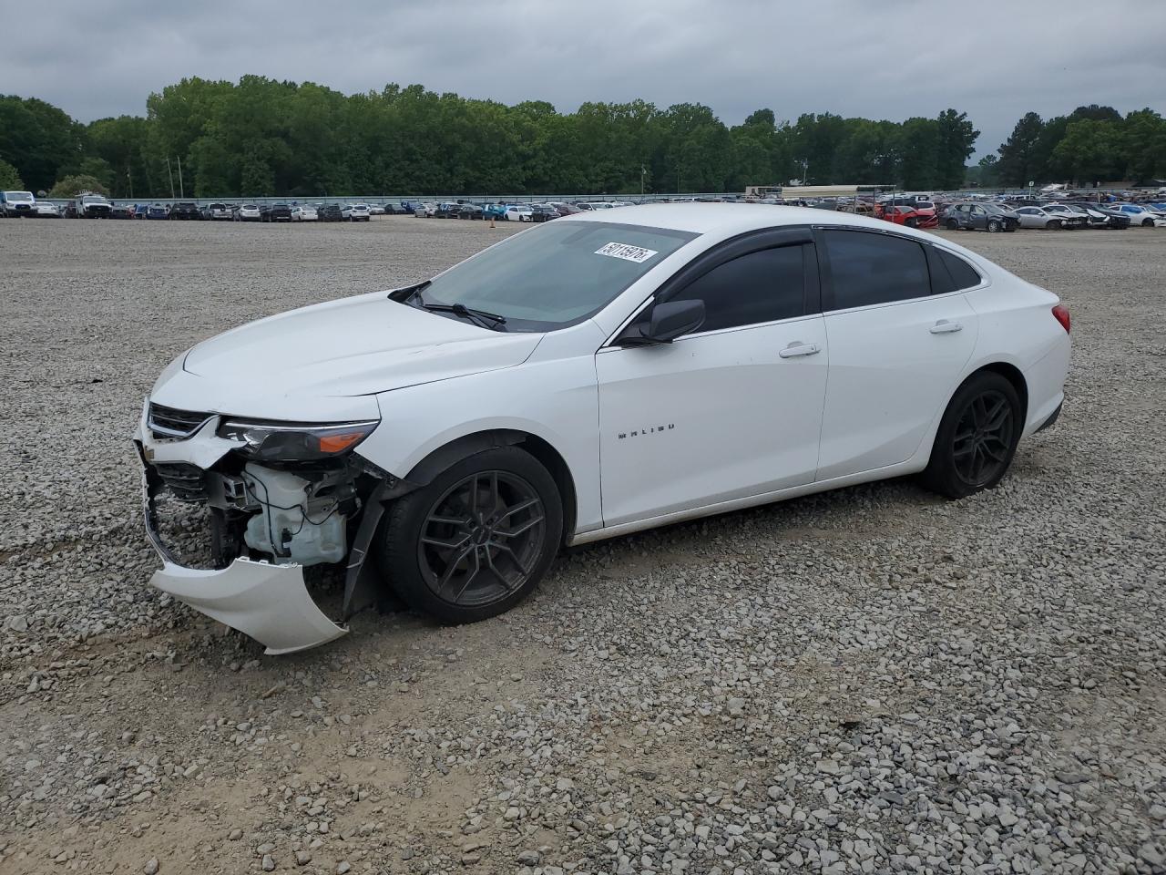 Salvage Chevrolet Malibu Image