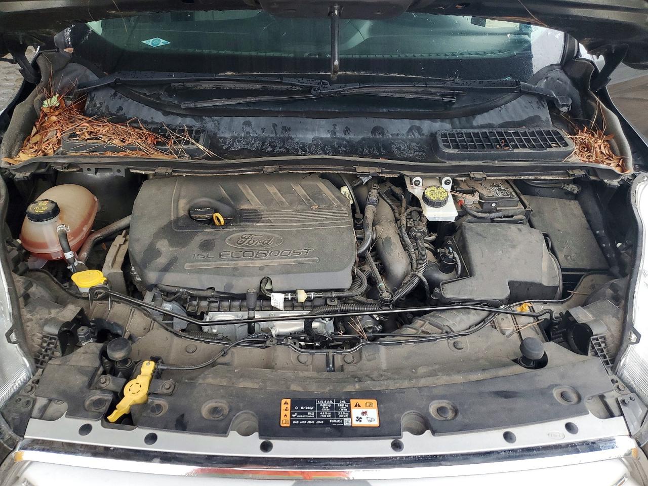 Ford Escape Se