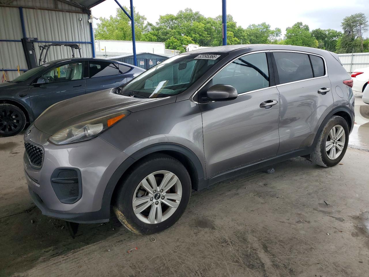 Salvage Kia Sportage Image