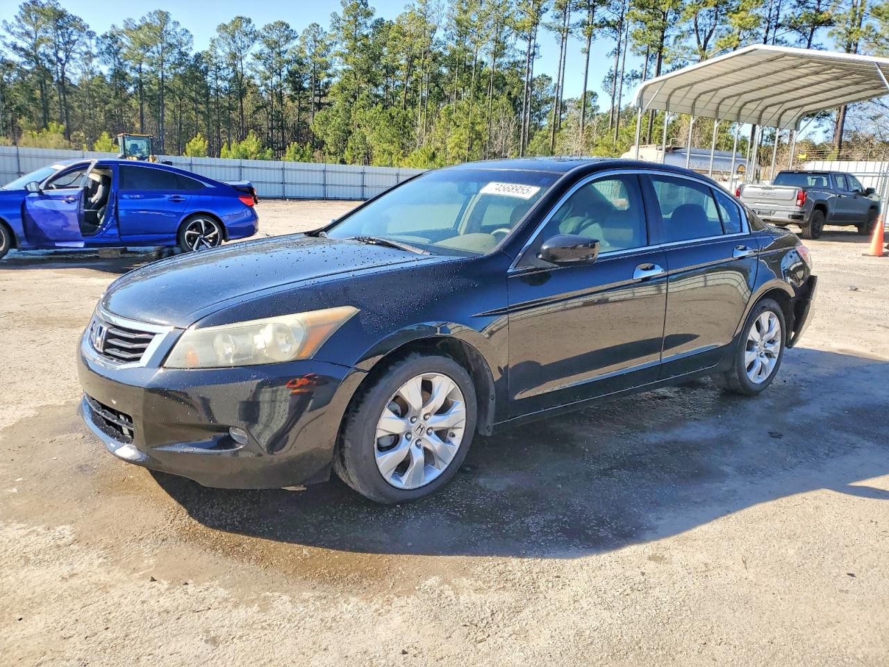 Salvage Honda Accord Image