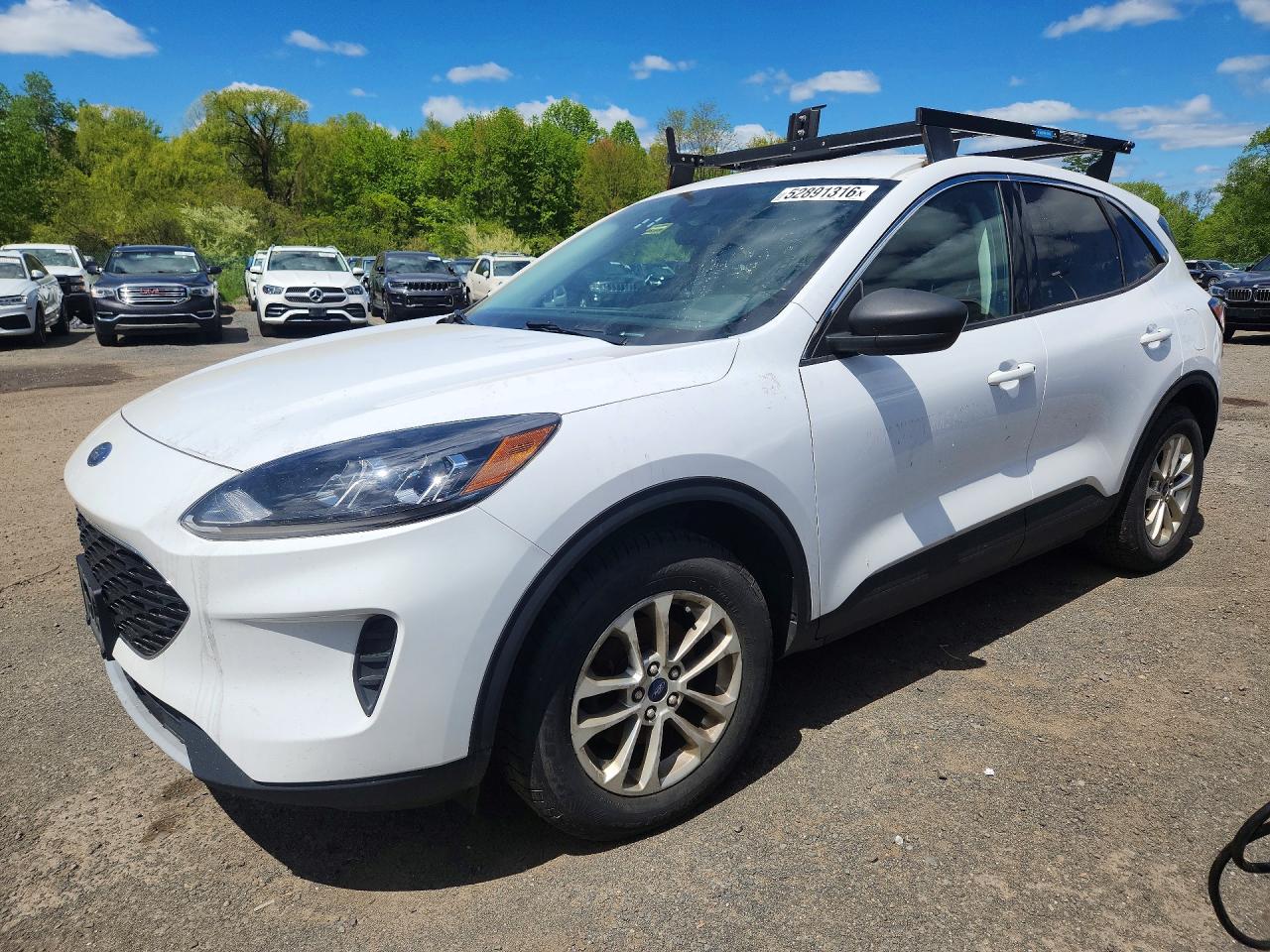 Salvage Ford Escape Image