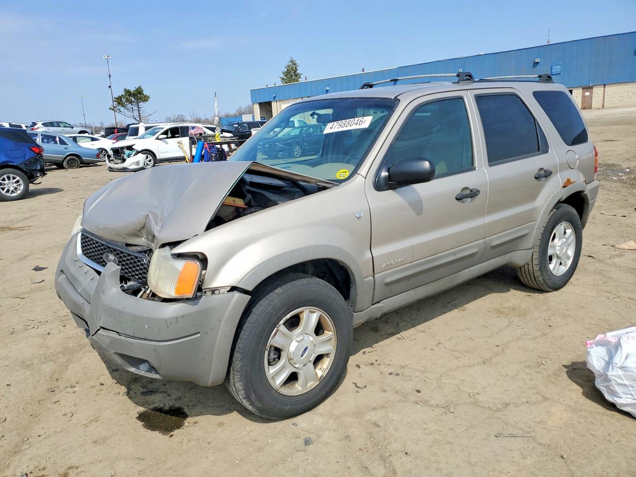 Salvage Ford Escape Image