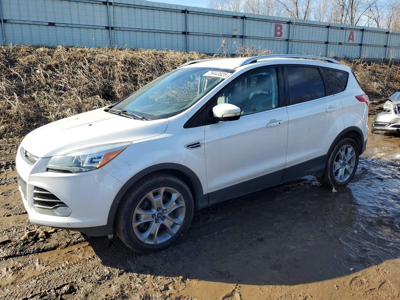 Salvage Ford Escape Image