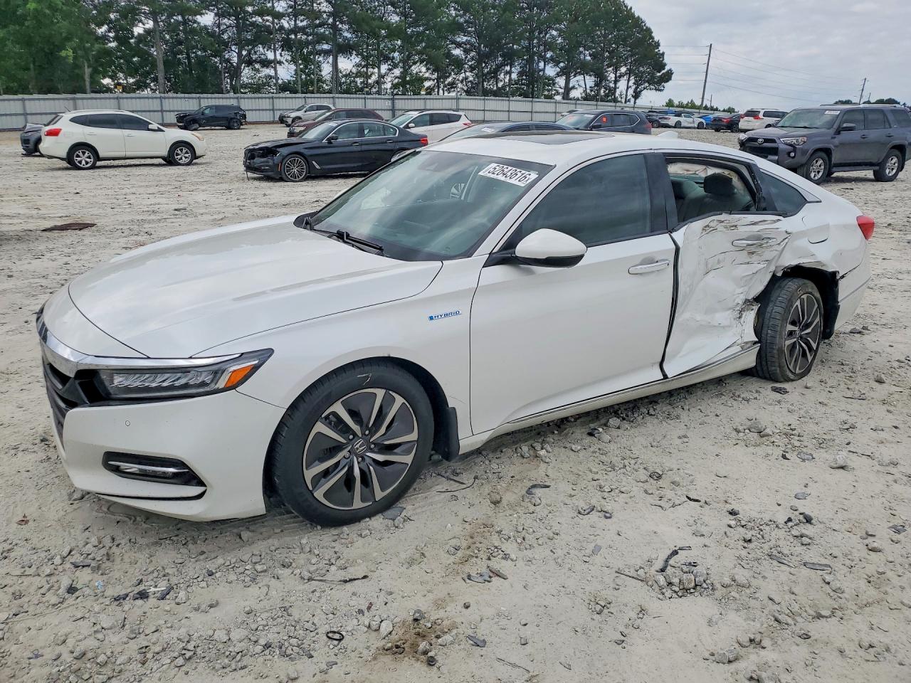 Salvage Honda Accord Image