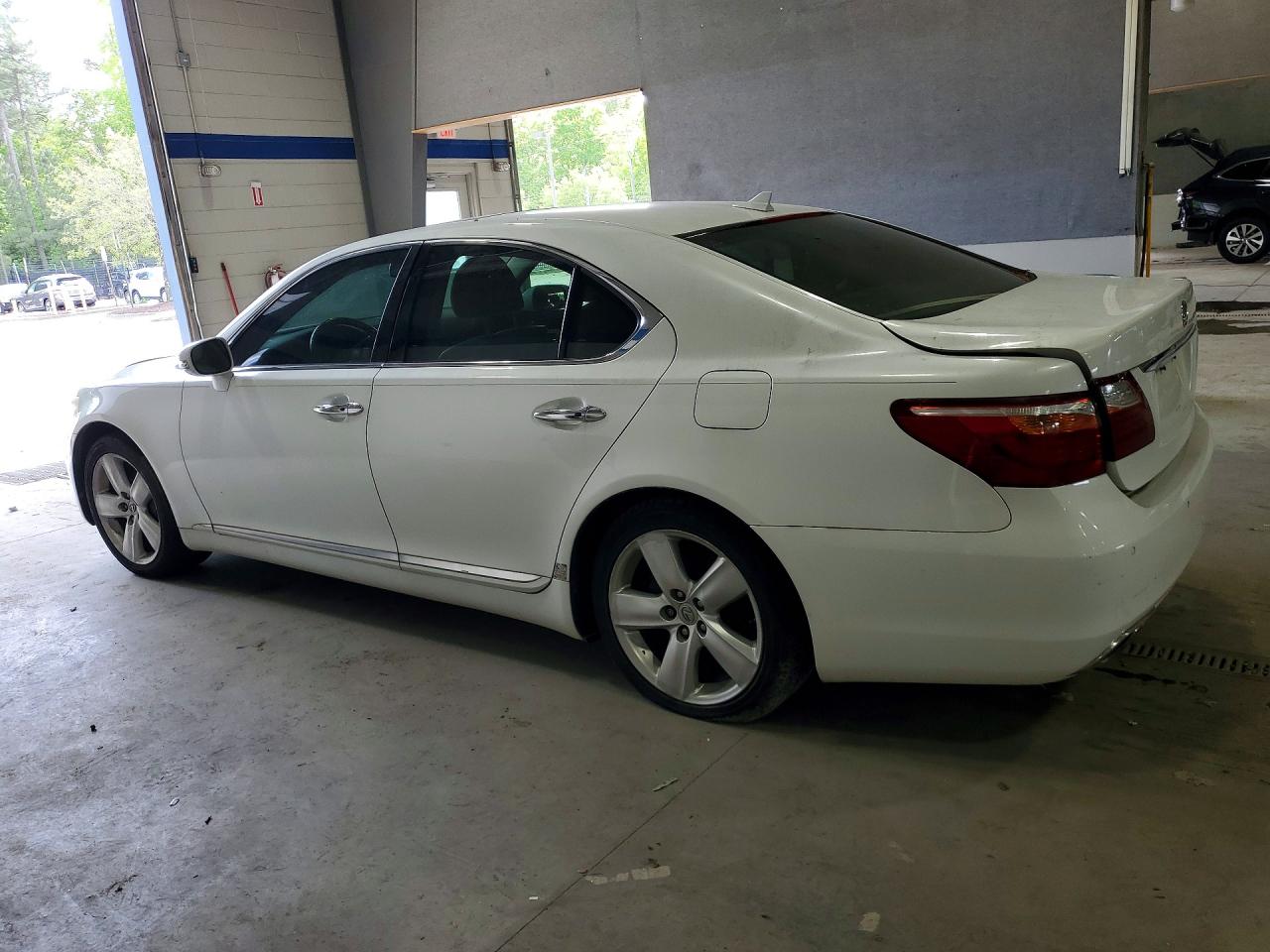 Lexus LS Base
