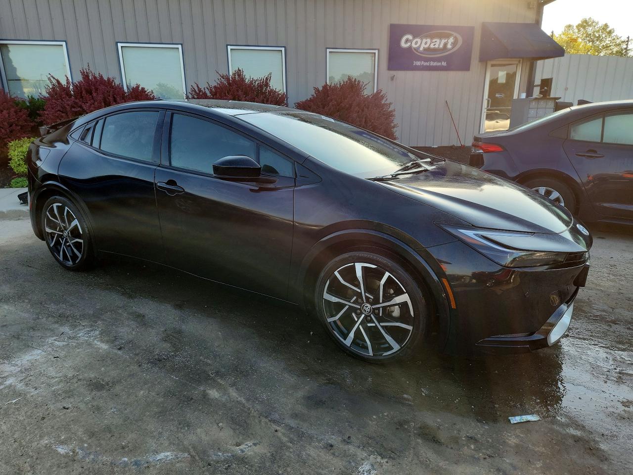 Toyota Prius Xse