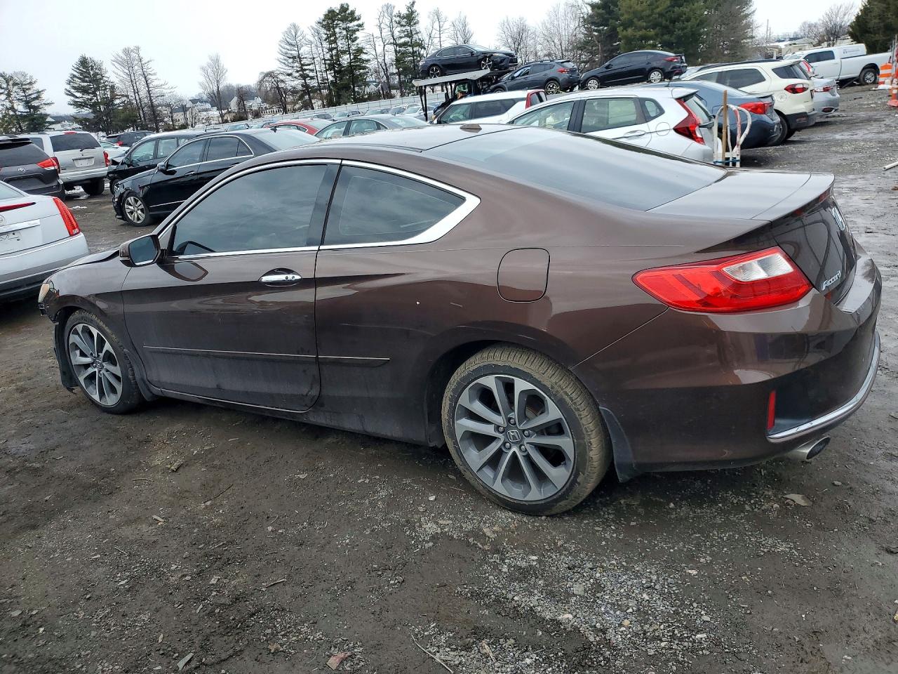 Honda Accord Exl