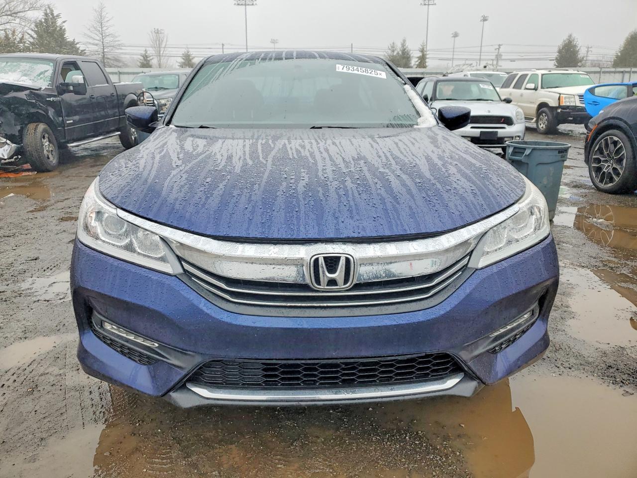 Honda Accord Sport Special Edition