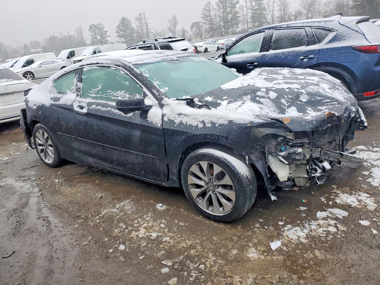 Honda Accord Exl