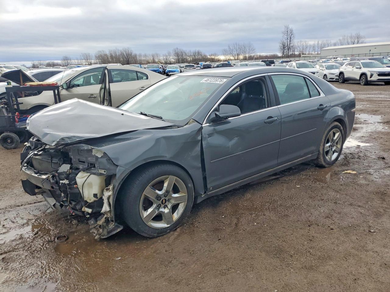 Salvage Chevrolet Malibu Image