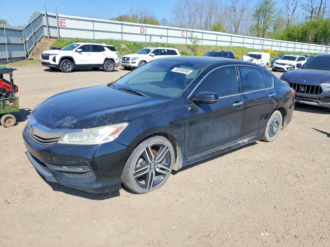 Salvage Honda Accord Image