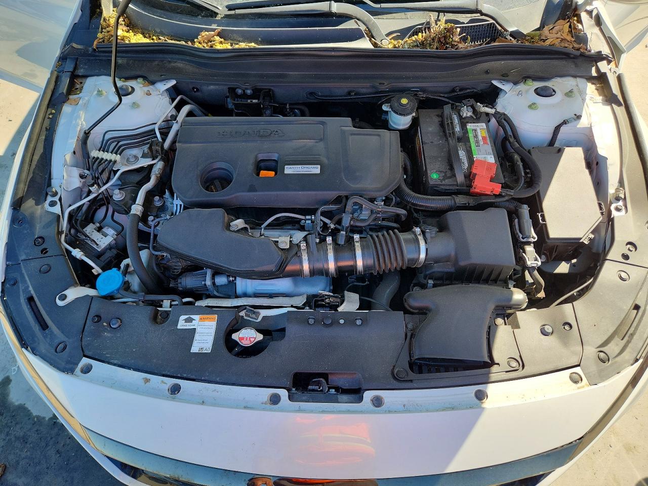 Honda Accord Sport