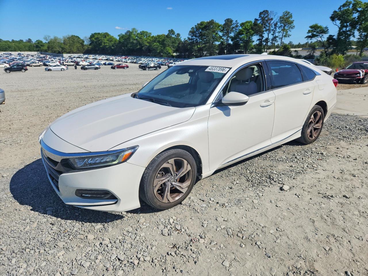 Salvage Honda Accord Image