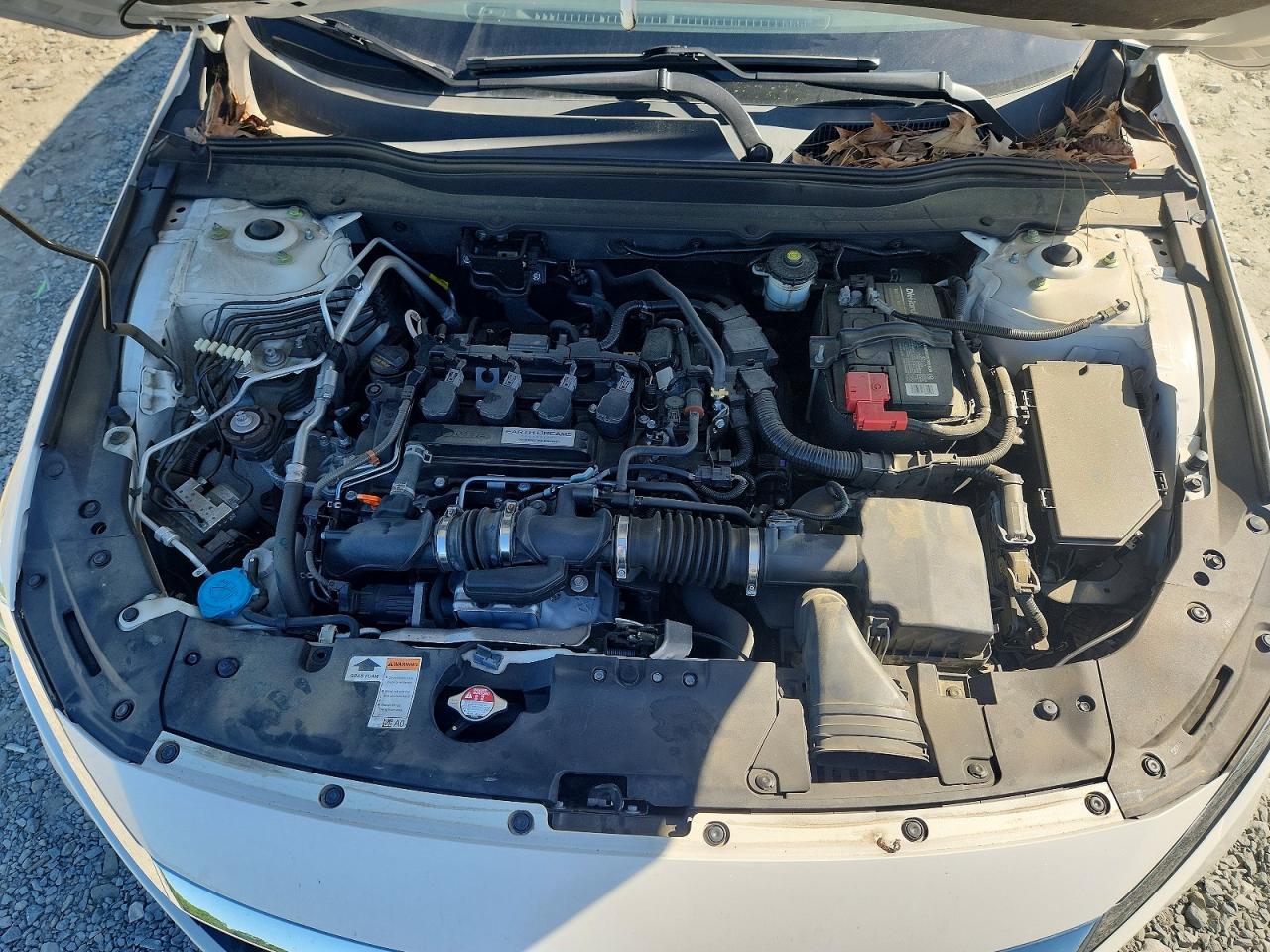 Honda Accord Ex