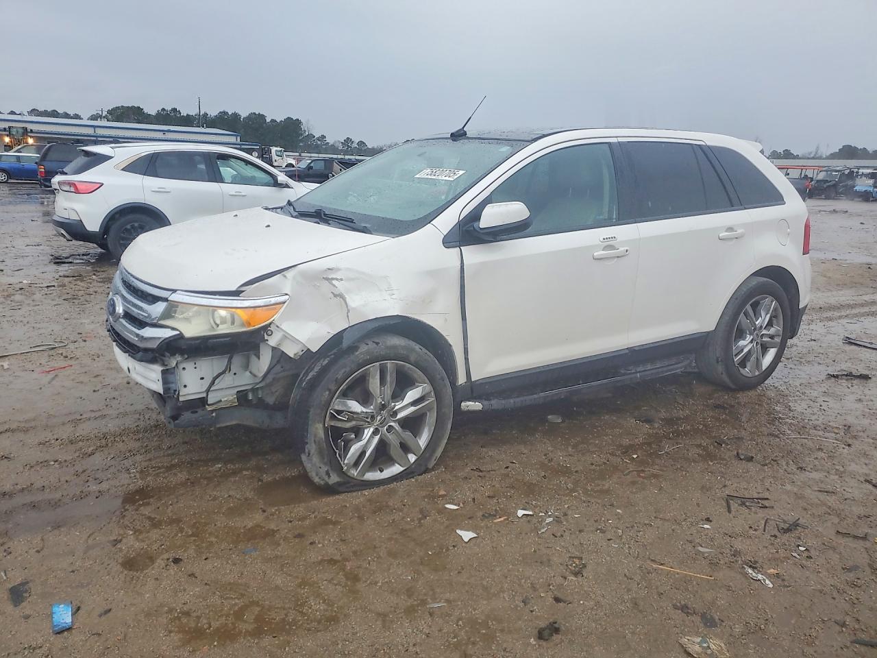 Salvage Ford Edge Image