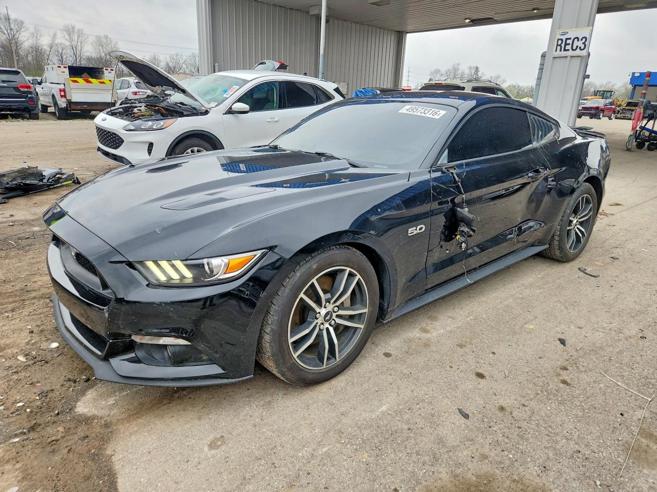 Salvage Ford Mustang Image